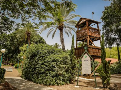 קבוץ-שנוסד-במסגרת-חומה-ומגדל-ב-1937